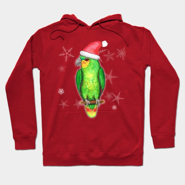 Parrot christmas jumper deals